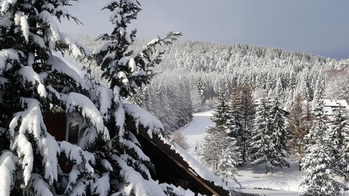 Ferienwohnungen Am Skilift Herrischried Exterior photo