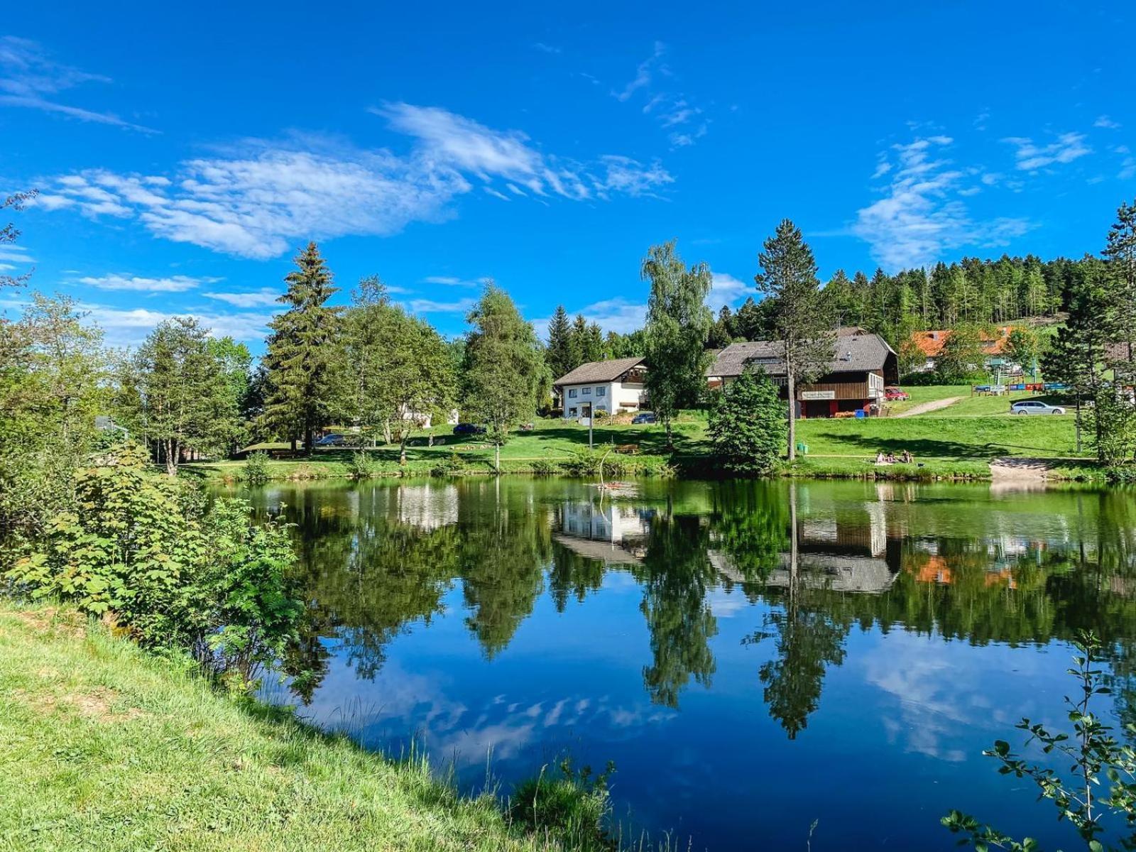 Ferienwohnungen Am Skilift Herrischried Exterior photo