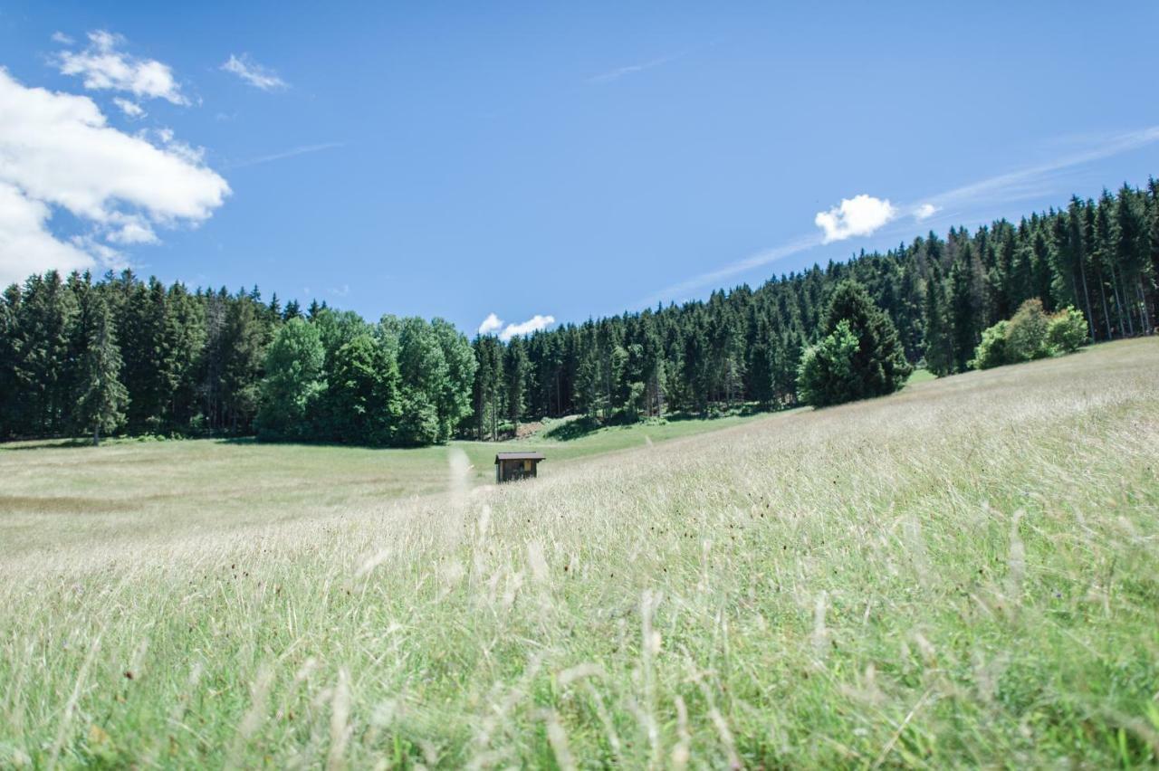 Ferienwohnungen Am Skilift Herrischried Exterior photo